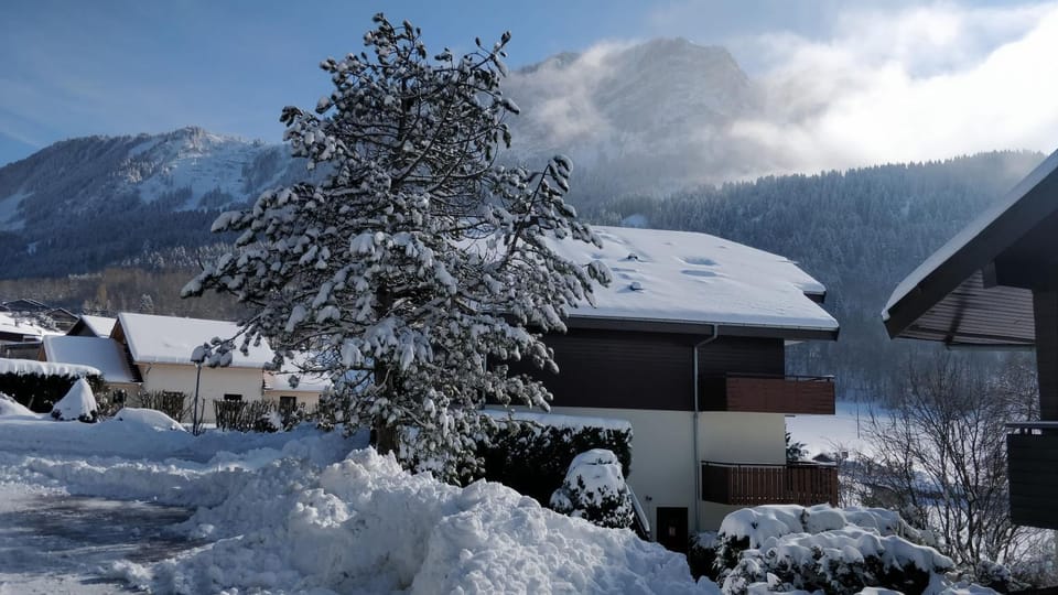 Balcony of lake Geneva Apartment in Haute-Savoie