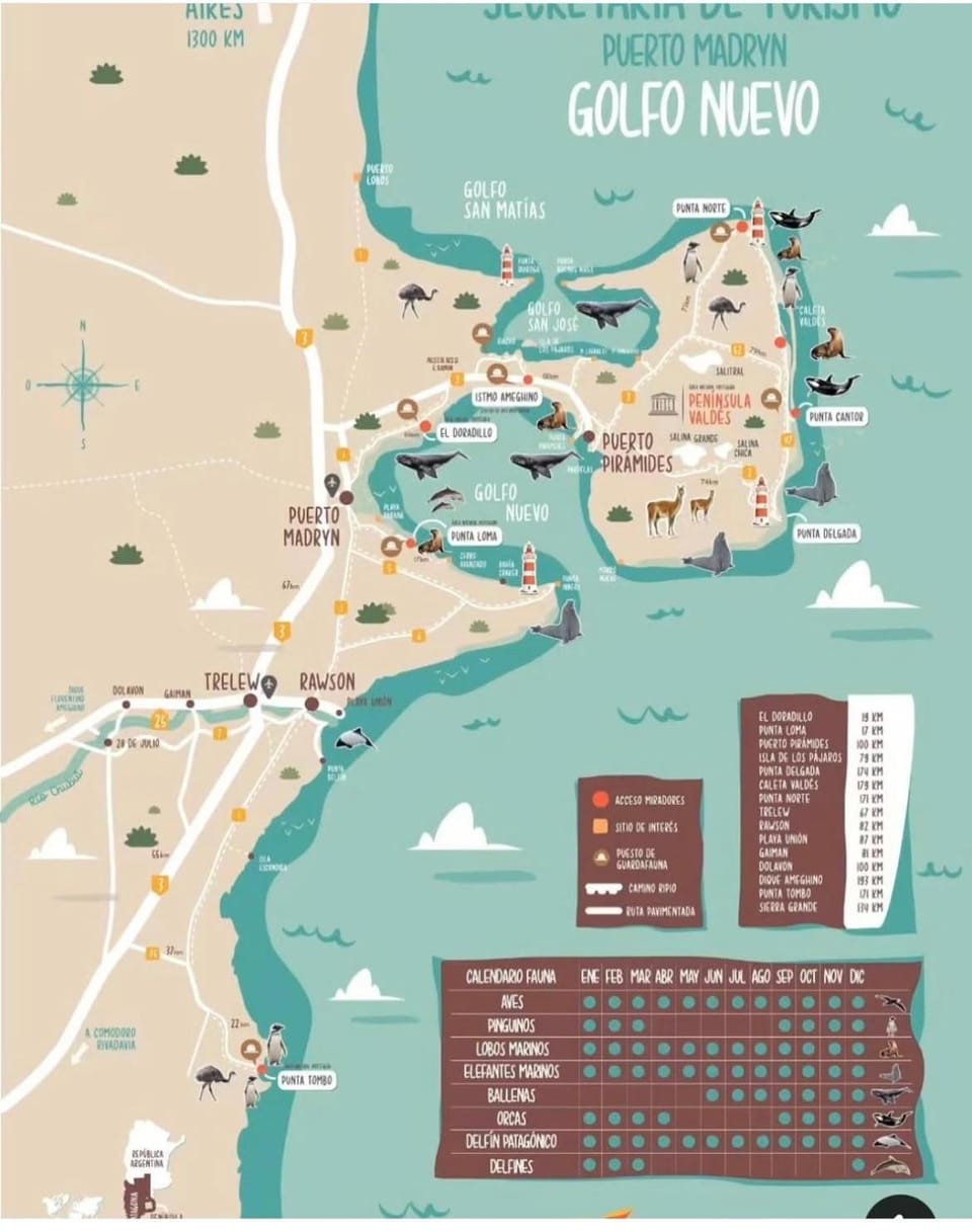 Loid Patagonia Apartment in Puerto Madryn