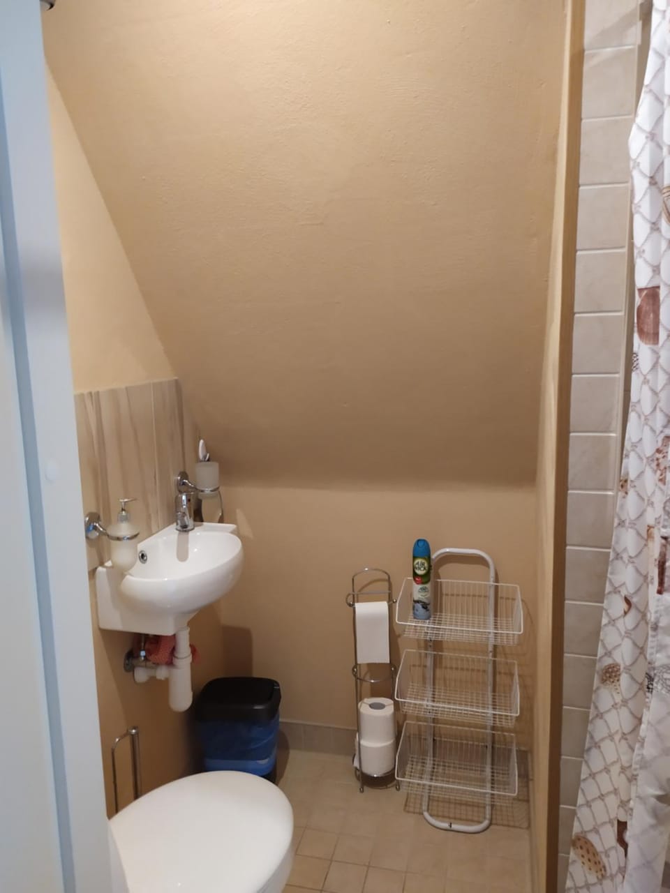 Shower, Toilet