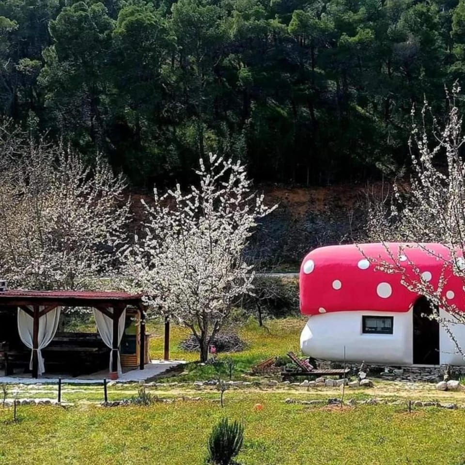 Mushroom house - Sleeps 4 - Pets Ok - Parking House in Šibenik-Knin County, Croatia