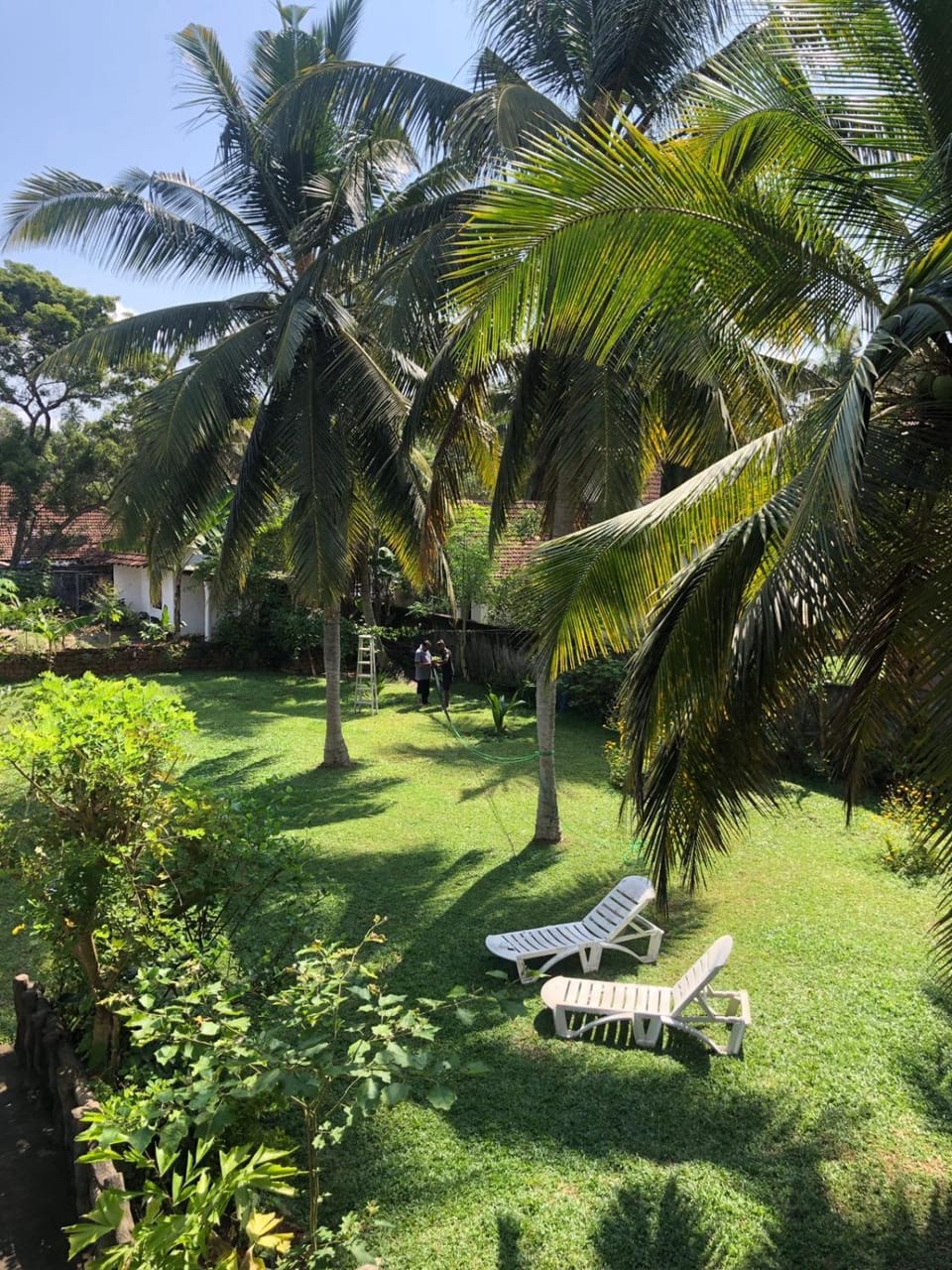 Balcony/Terrace, Garden view, sunbed