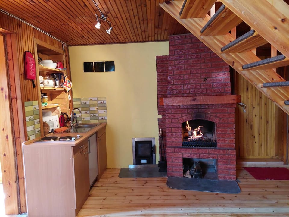Kitchen or kitchenette, fireplace, pet friendly, stove