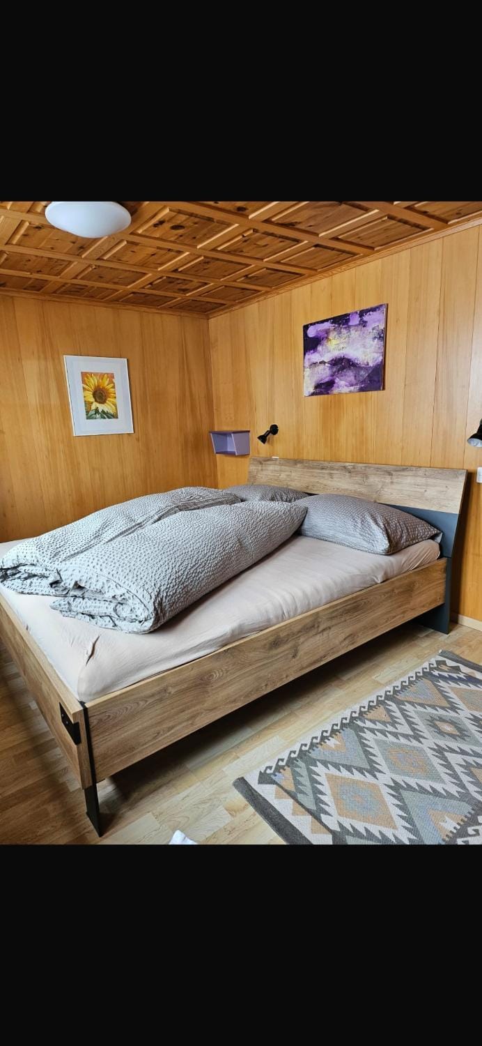 Moräna Apartment in Canton of Valais