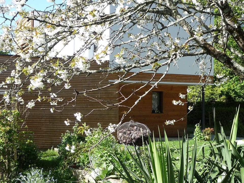 Facade/entrance, Garden