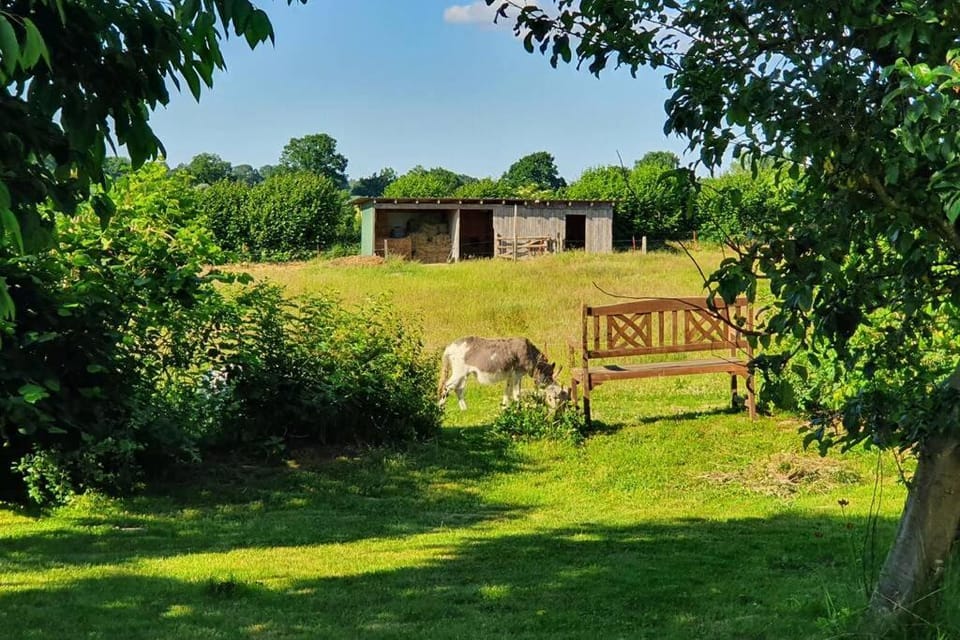 Garden, Animals
