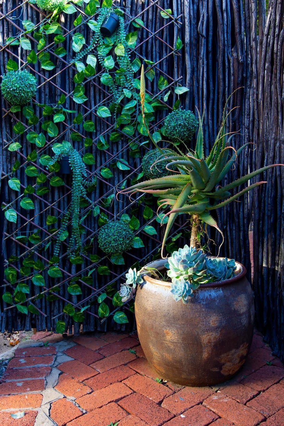 Sixty Three Bed and Breakfast in South Africa
