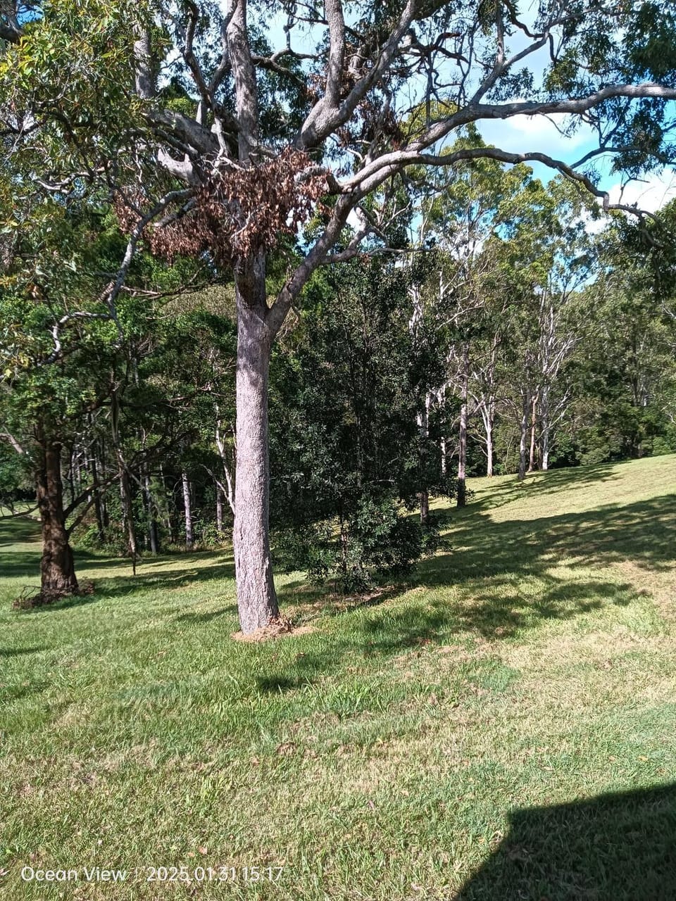 Cabins @ The View Cabin in Brisbane