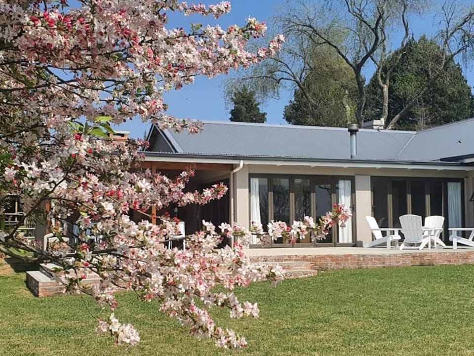 Property building, Patio, Spring, Day, Garden, Garden view