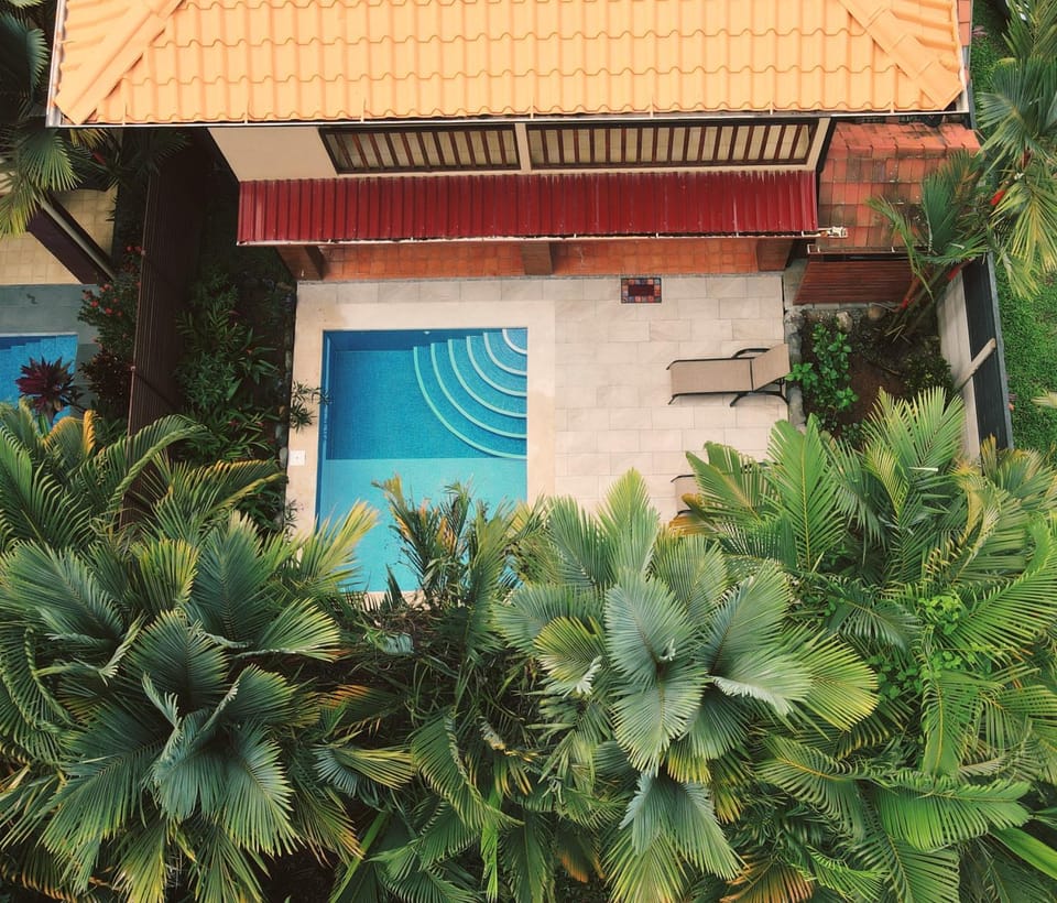 Property building, Garden, Swimming pool
