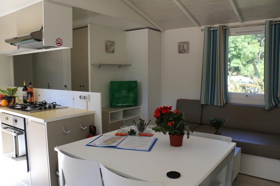 Kitchen or kitchenette, Dining area, oven, stove