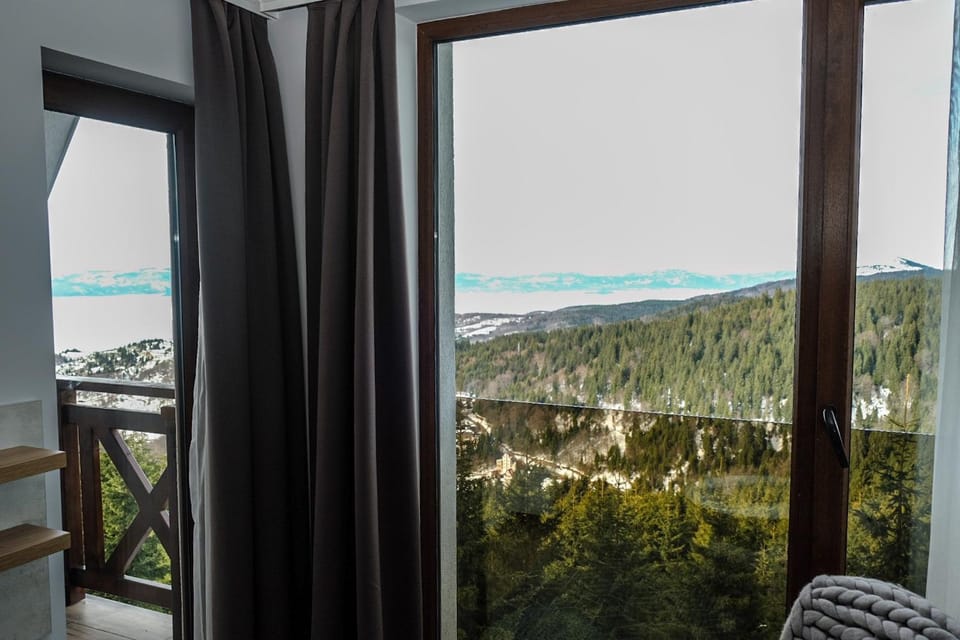 Vila Planinsko Blago Apartment in Serbia
