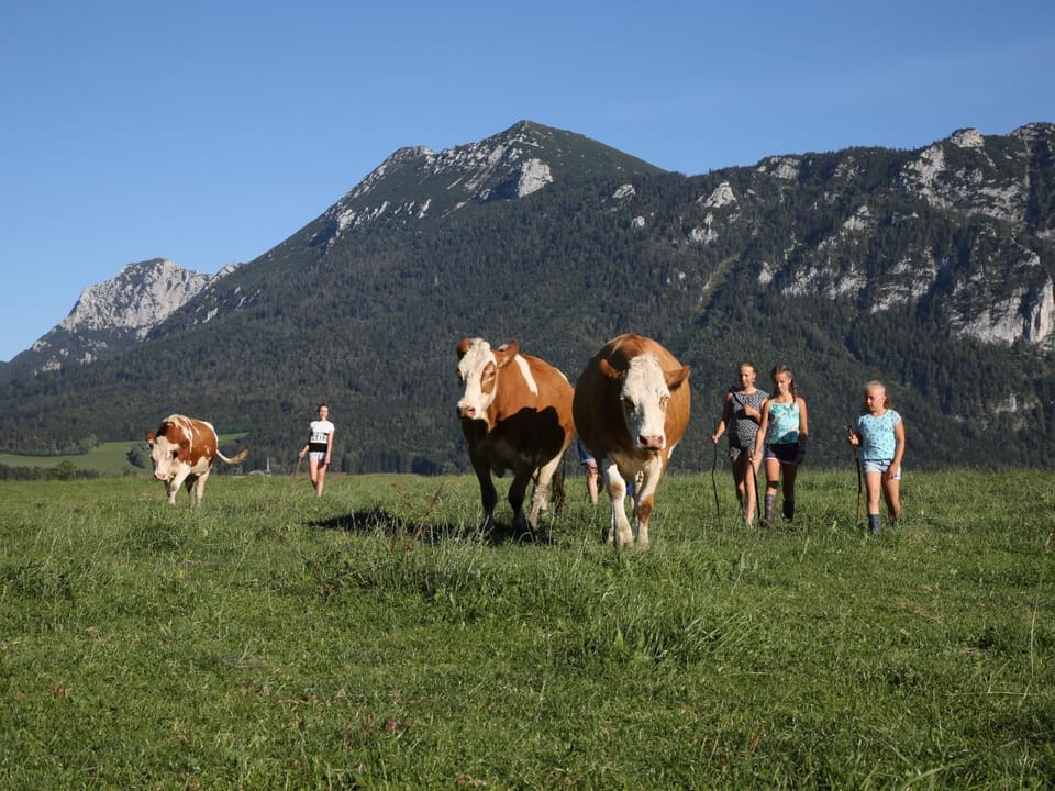 Weissenhof - Chiemgau Karte Farm Stay in Berchtesgadener Land