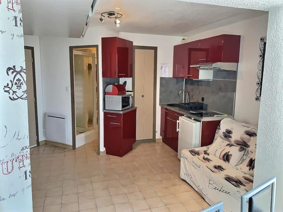 Studio confortable avec vue mer et port Apartment in Occitanie
