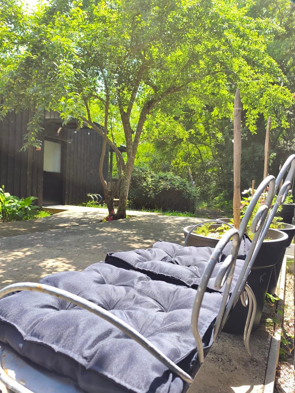 Eco-lodges Lacanau Moutchic Inn - 4 pers Apartment in Lacanau