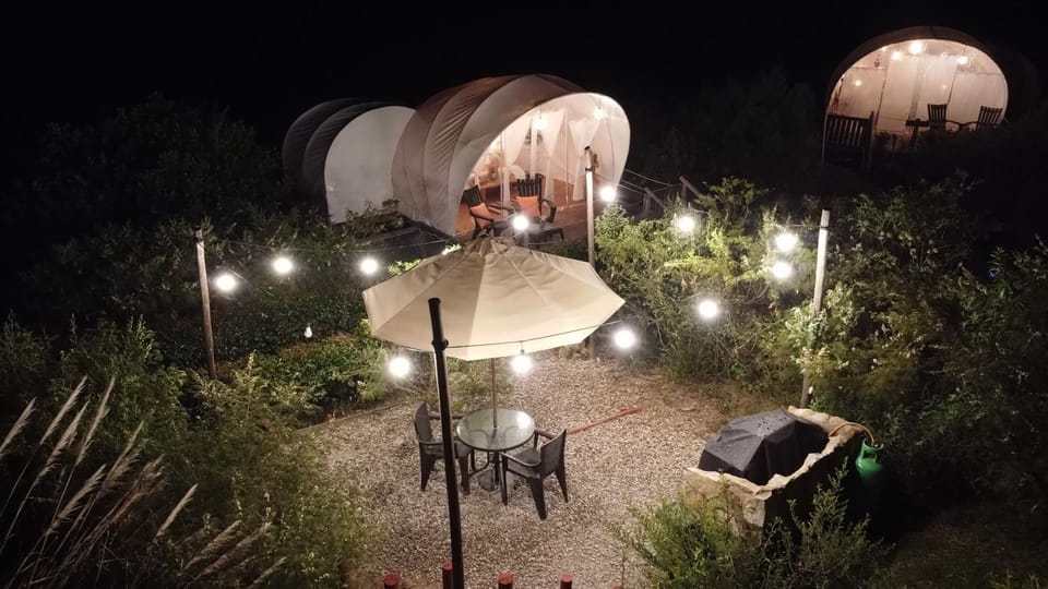 Night, BBQ facilities
