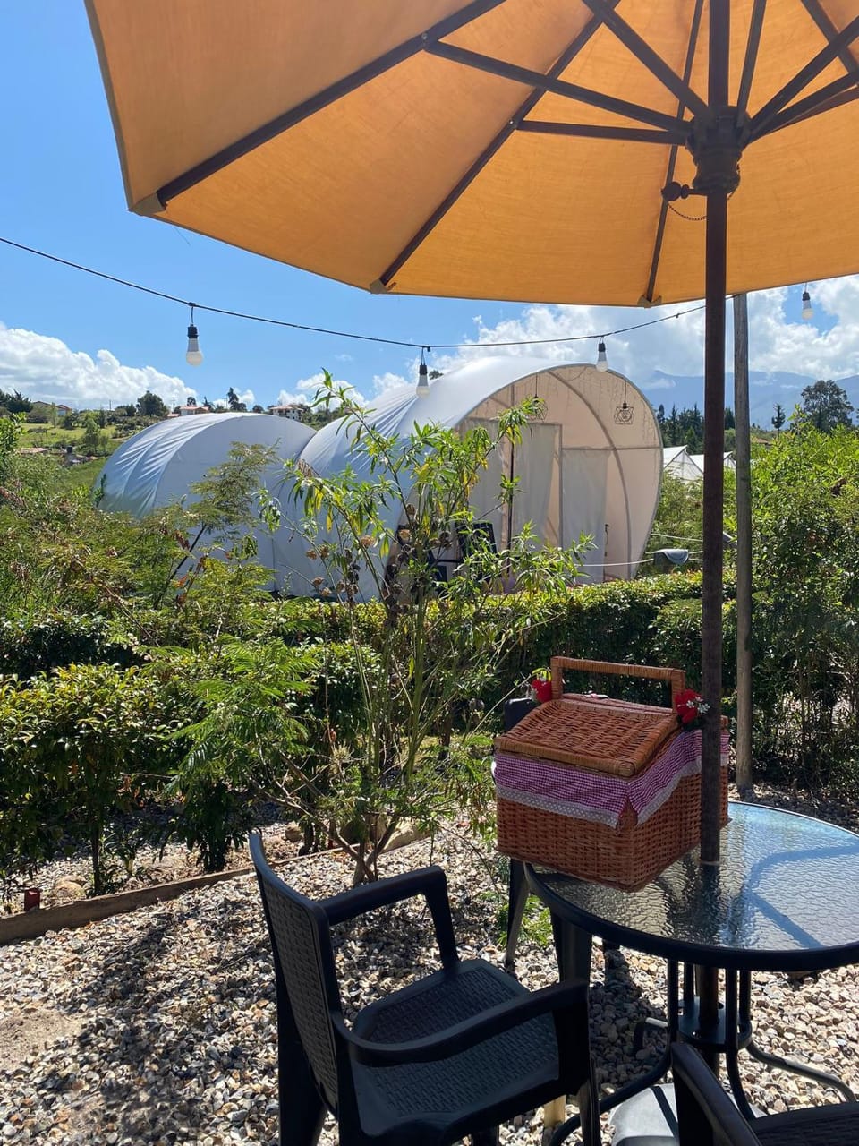 Garden view