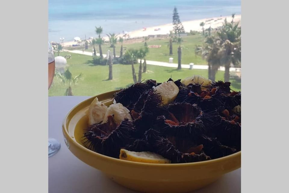 Azurh Apartment in Hammamet