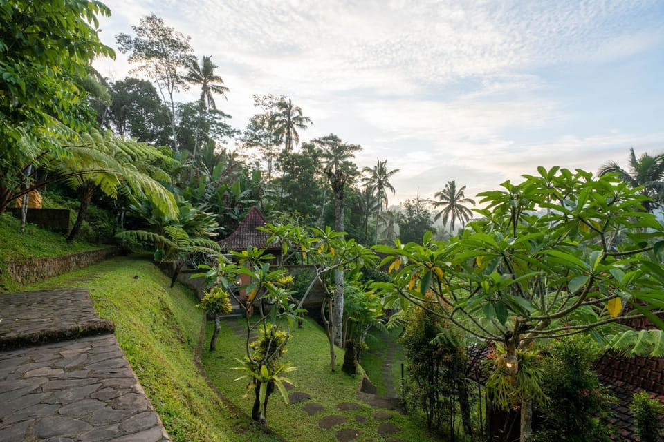 Natural landscape, Garden view