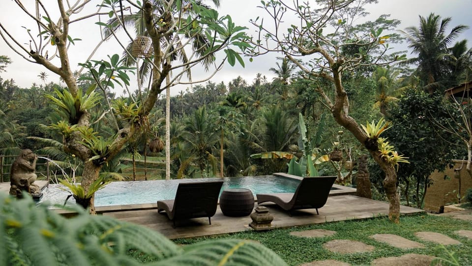 Garden view, Swimming pool, sunbed