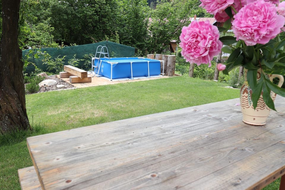 Garden, Swimming pool