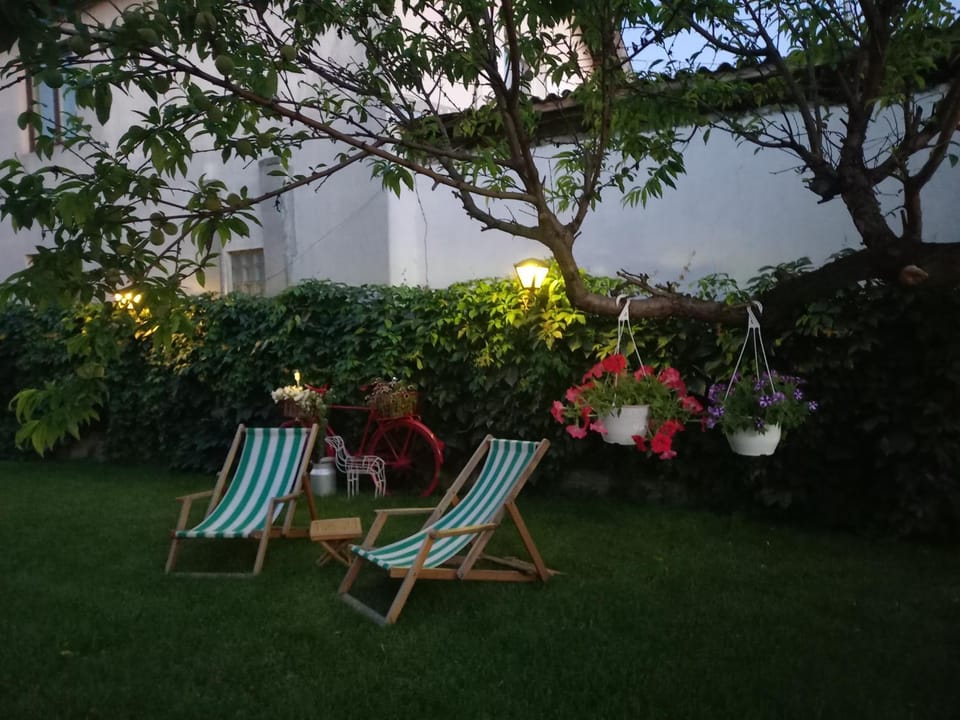 Patio, Spring, Day, Garden, Garden view, sunbed