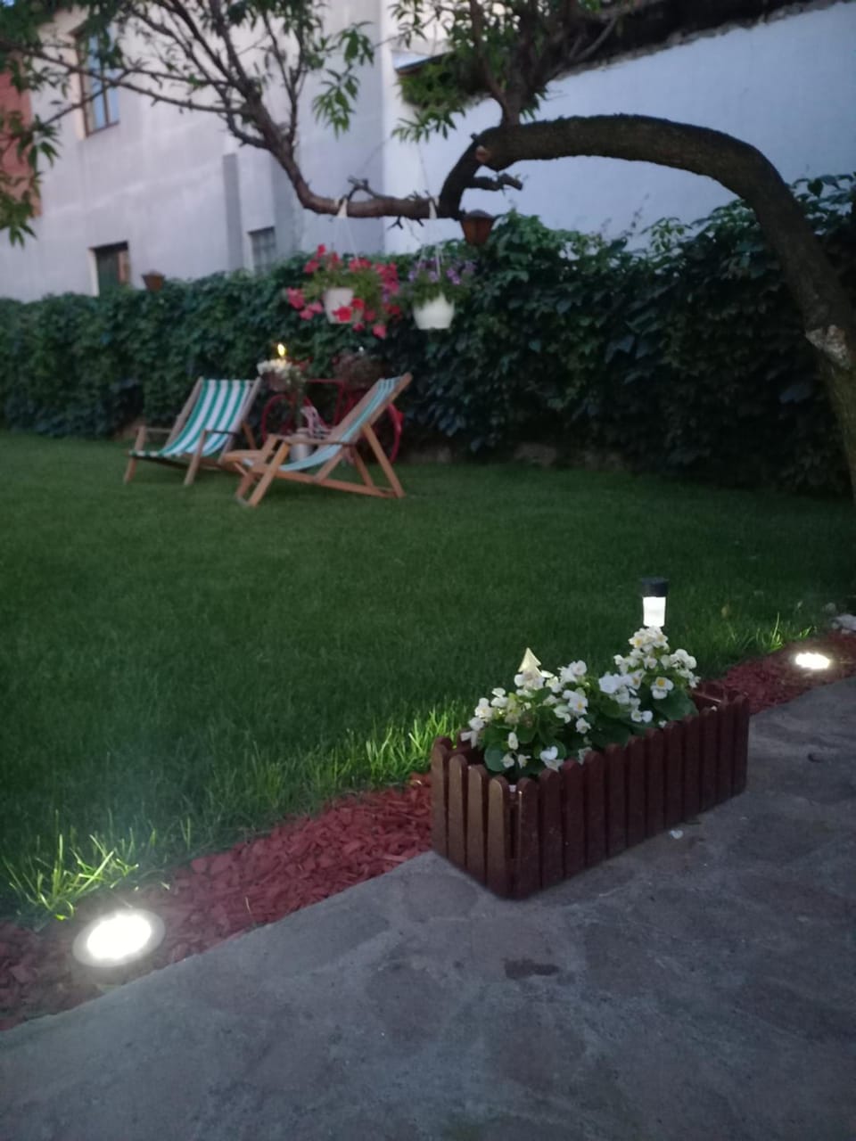 Patio, Day, Natural landscape, Garden, Garden view, sunbed