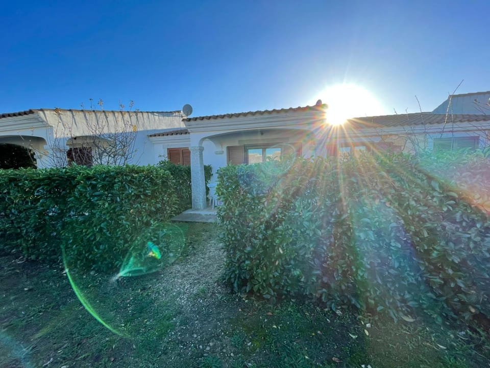 Property building, Facade/entrance, Garden, Sunset
