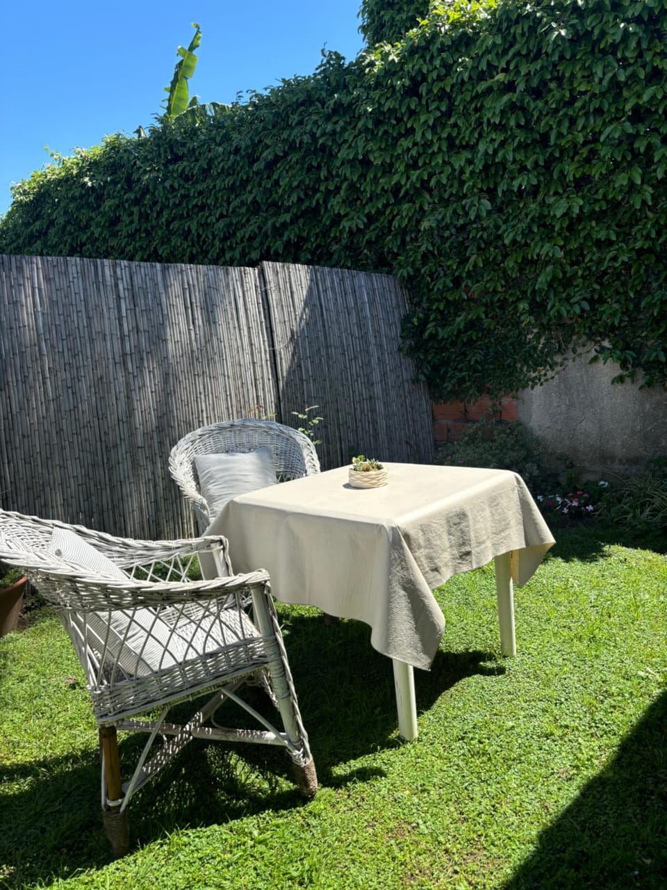 La Isabel Apartment in San Pedro