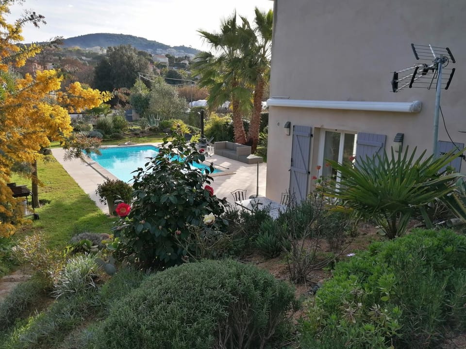 Property building, Garden