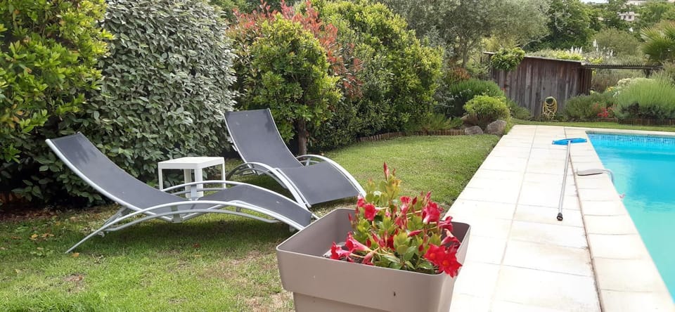 Garden, Swimming pool