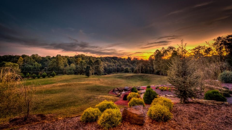 Natural landscape, Garden