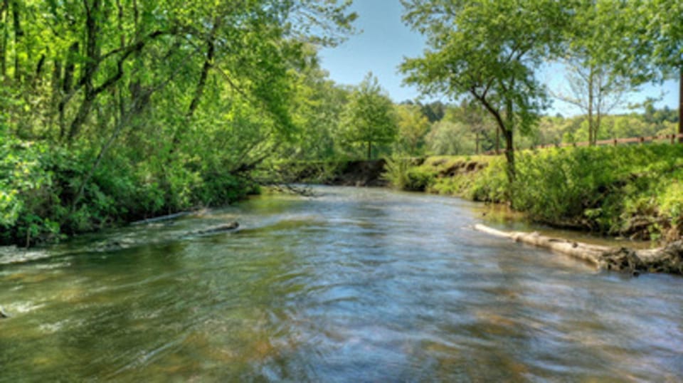 Natural landscape