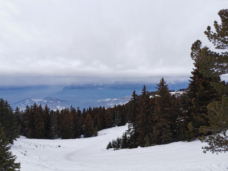 Skiing