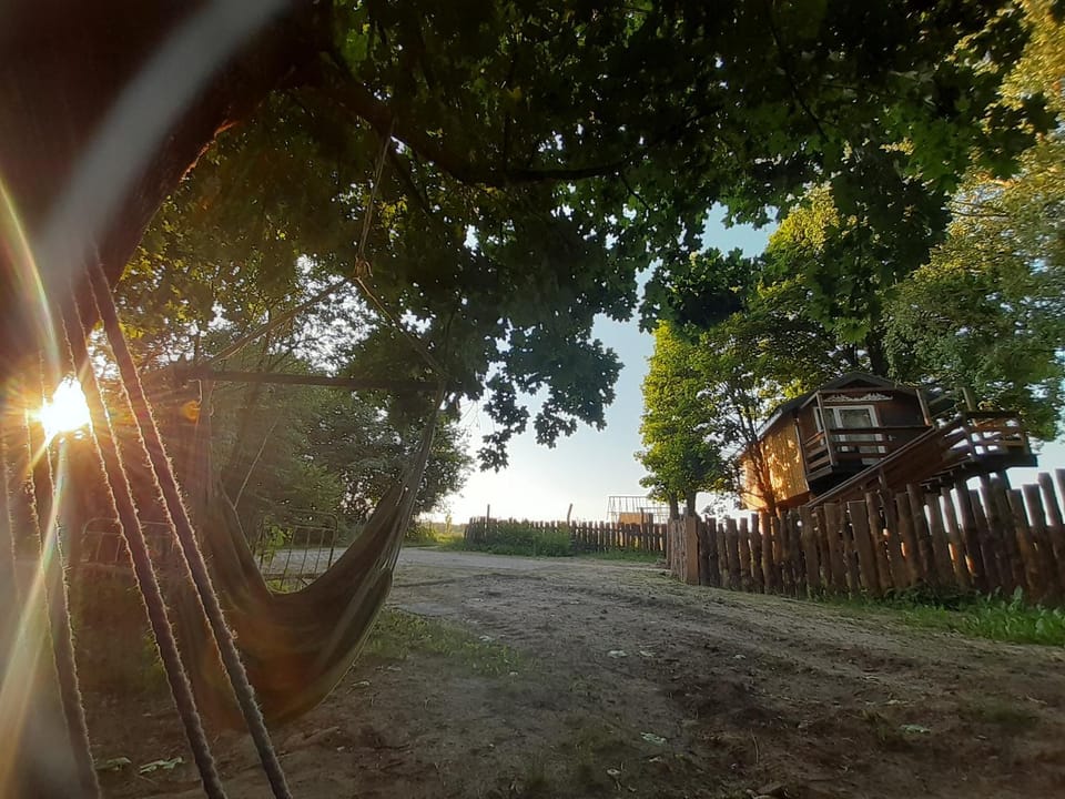 Garden, Sunset