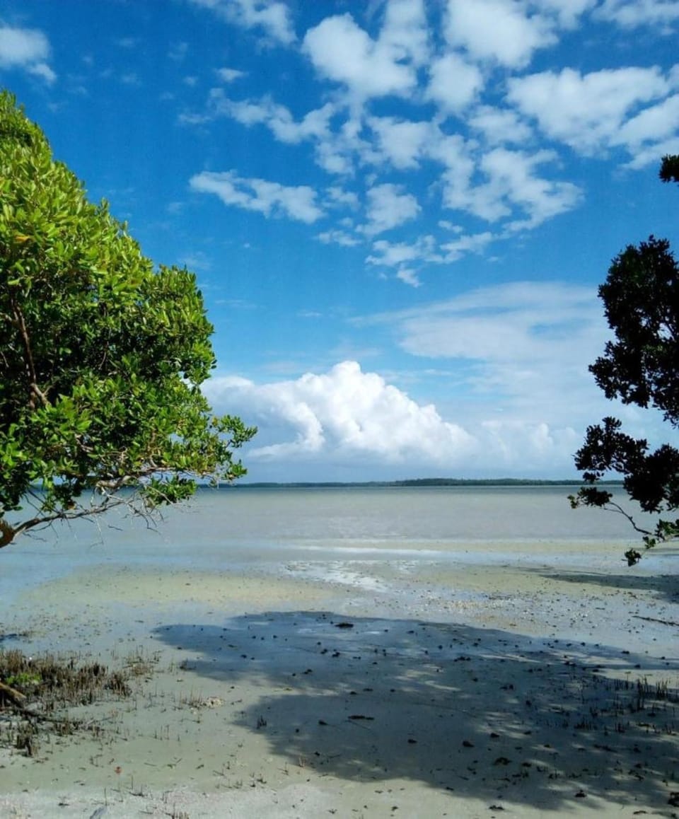 Natural landscape, Other, Beach