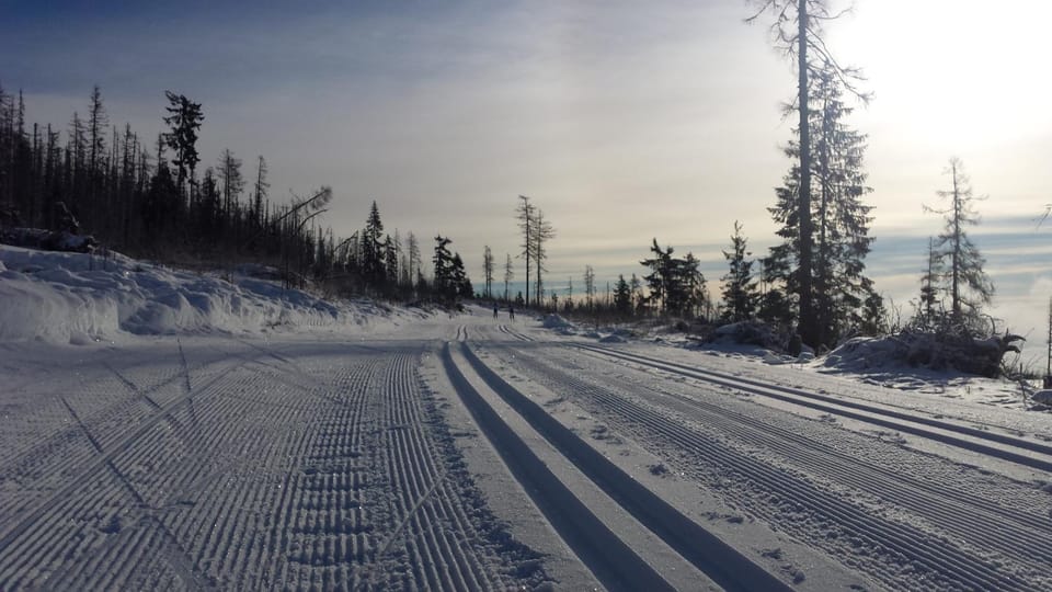 Winter, Skiing