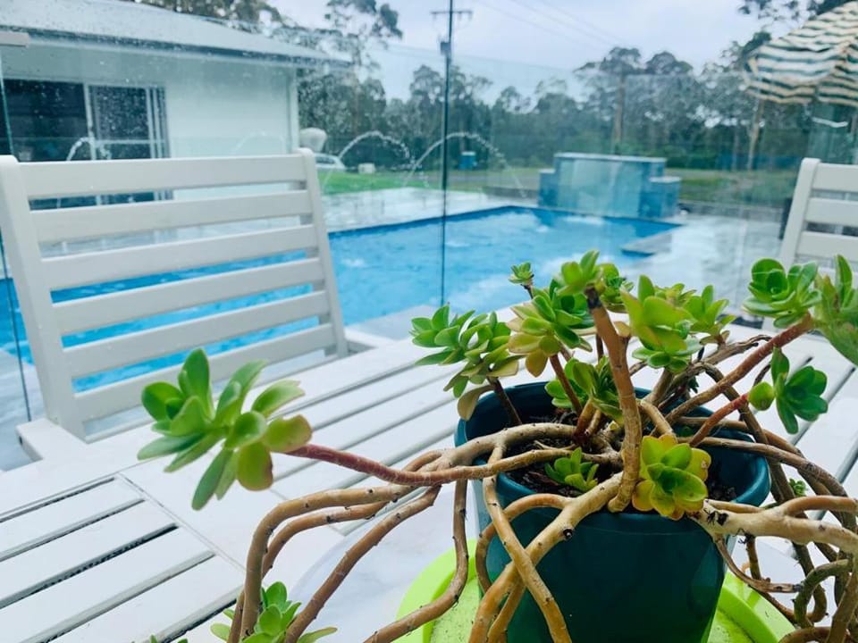 Pool view