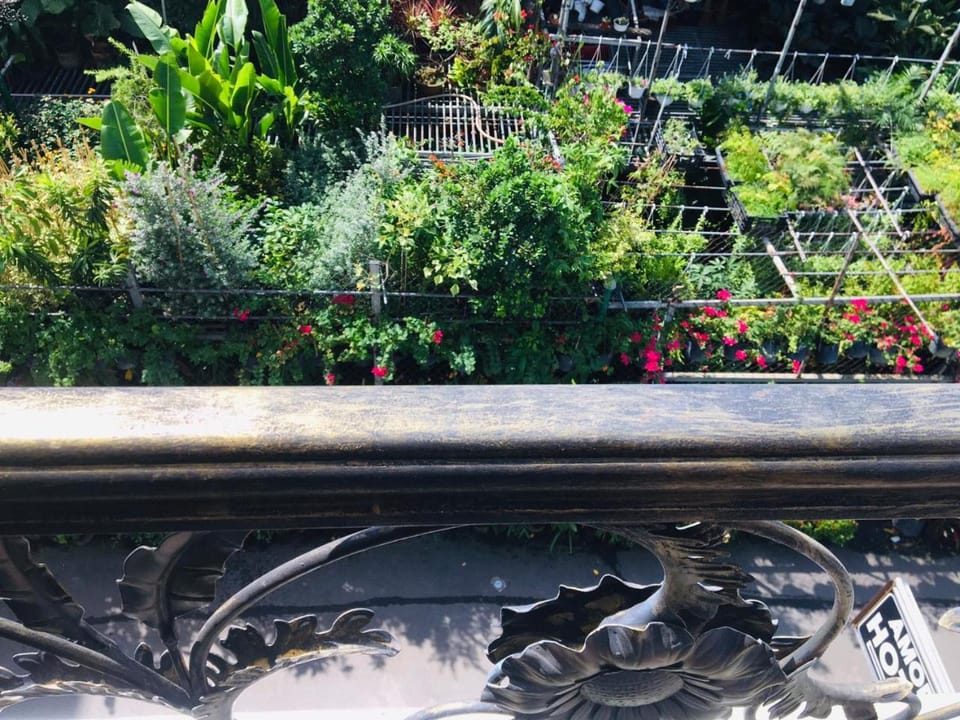 Day, Balcony/Terrace, Balcony/Terrace