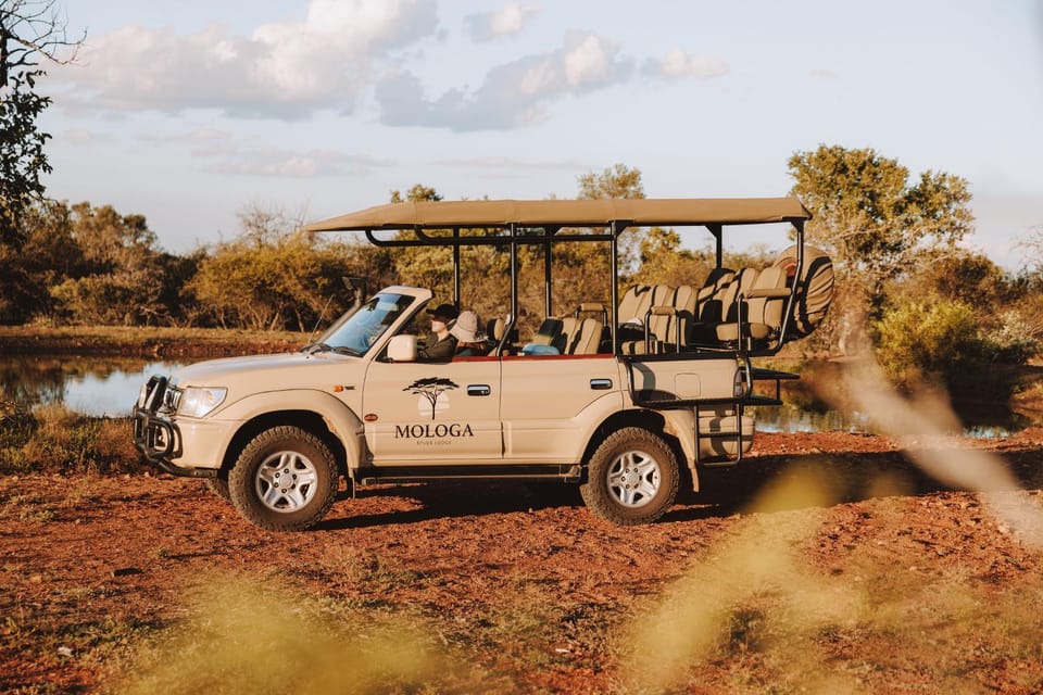 Mologa River Lodge Nature lodge in Gauteng