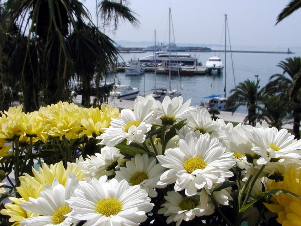 Sea view