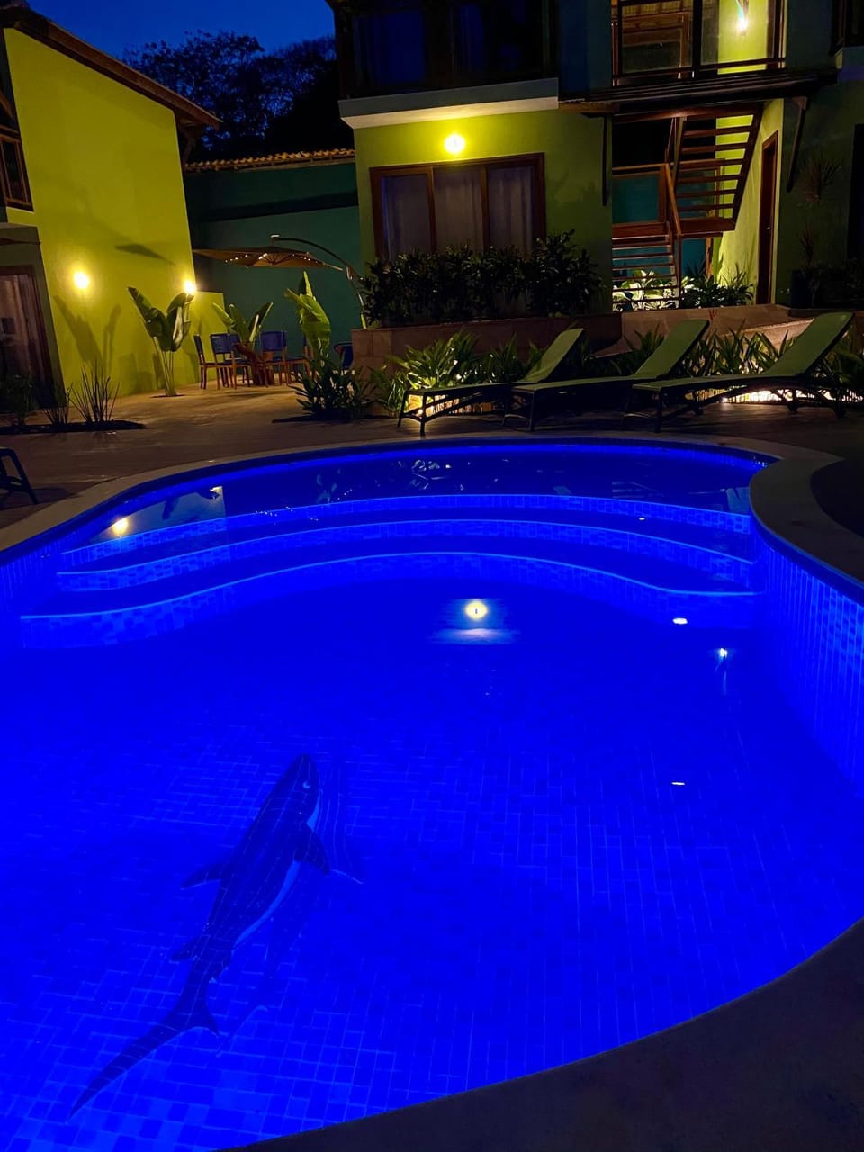 Night, Pool view, Swimming pool, Swimming pool