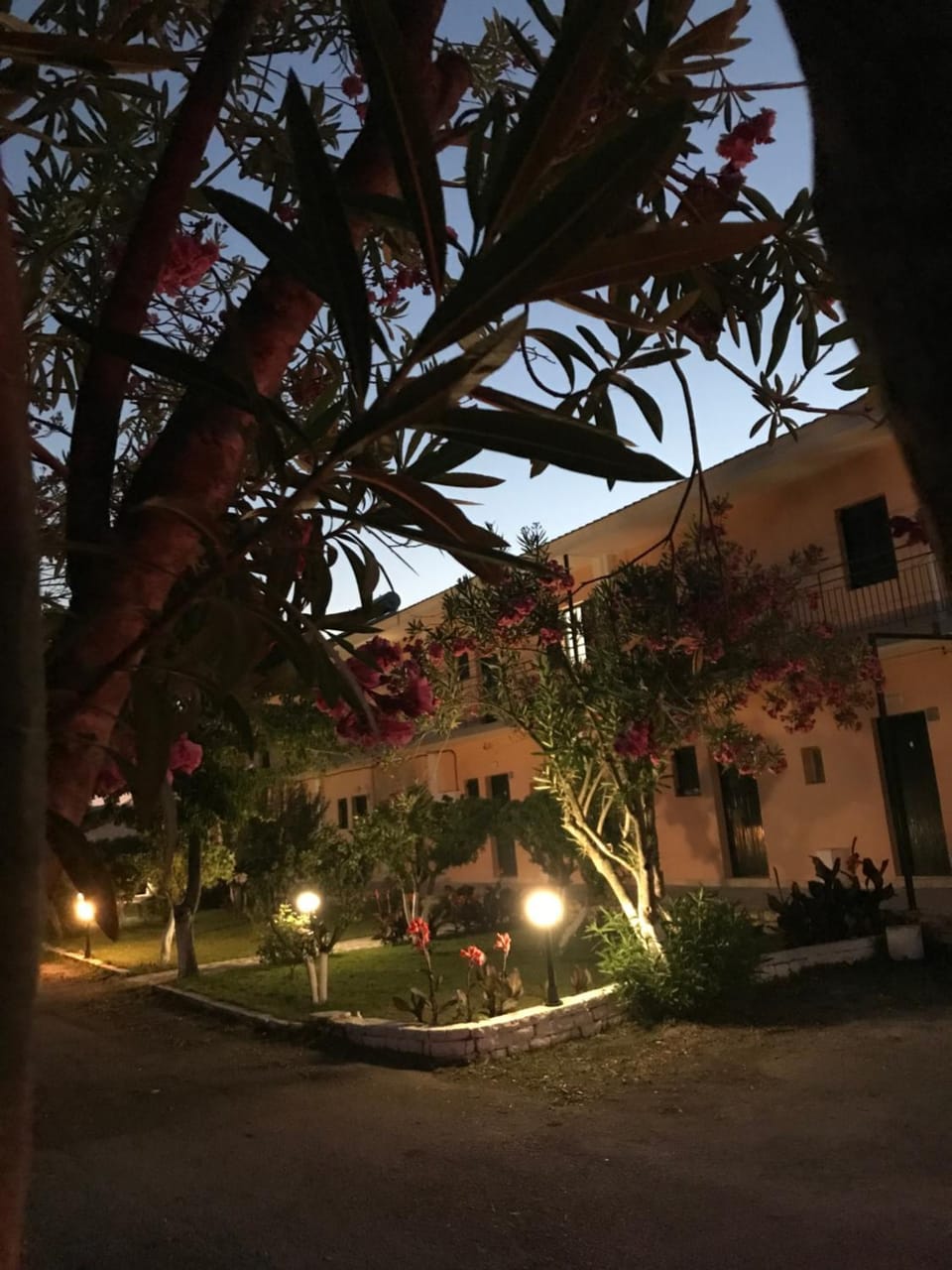 Property building, Night, Garden