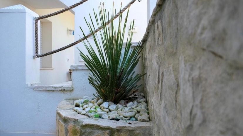 Puntamare House Apartment in Province of Foggia