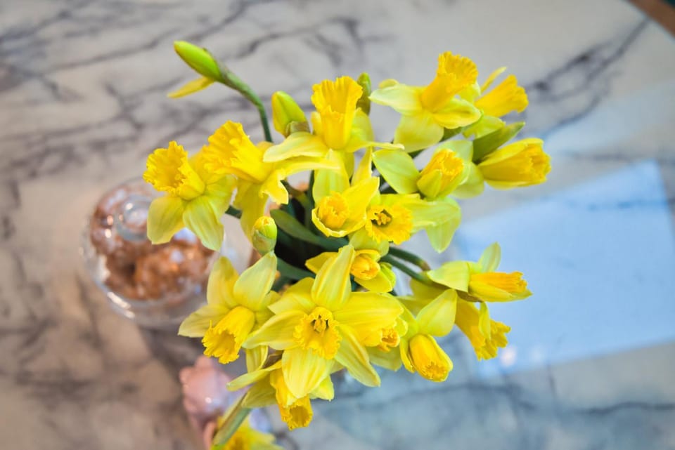 Apartament Jastrzębia Góra Apartment in Pomeranian Voivodeship