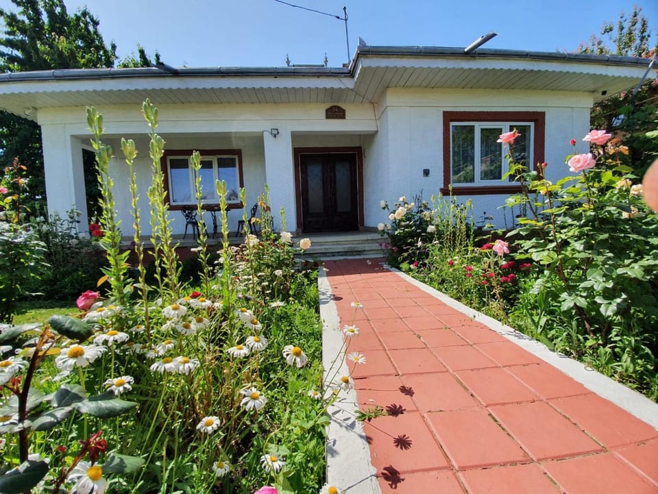Casa Jeni House in Romania