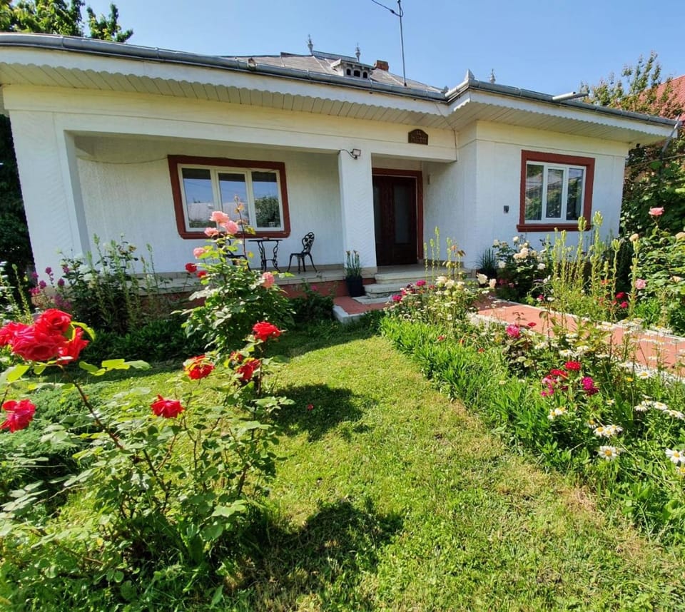 Casa Jeni House in Romania