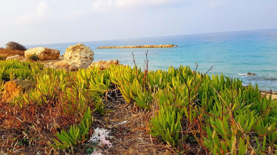 Beach, Sea view