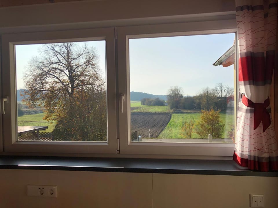 View (from property/room)