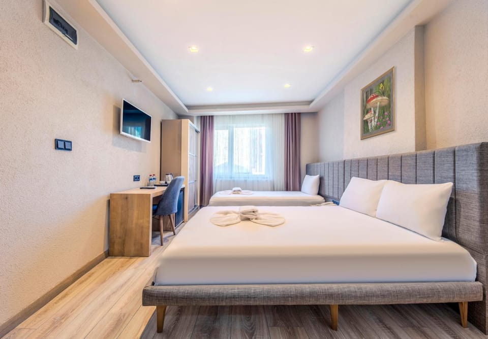 Bed, TV and multimedia, Photo of the whole room