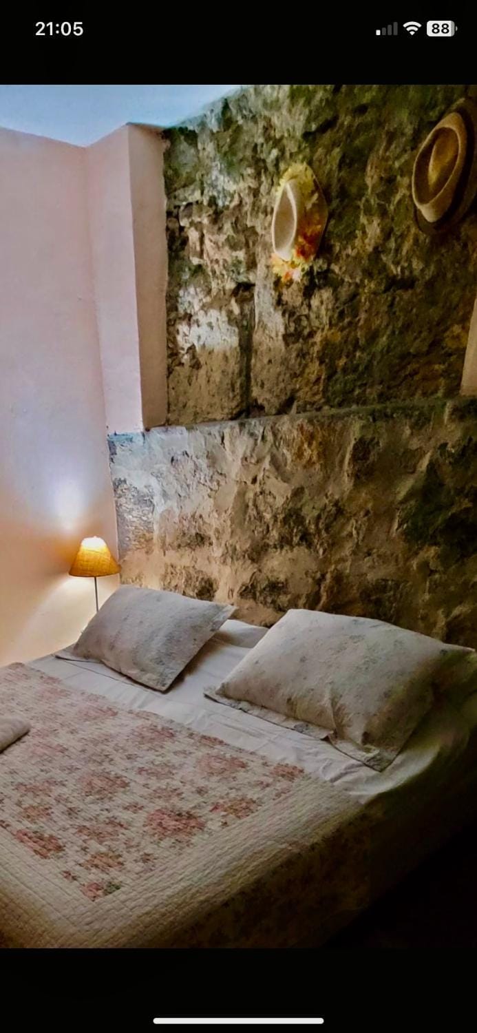 Casa da Carmen e do Fernando Bed and Breakfast in Santa Teresa